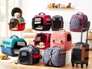 Pet carrier options